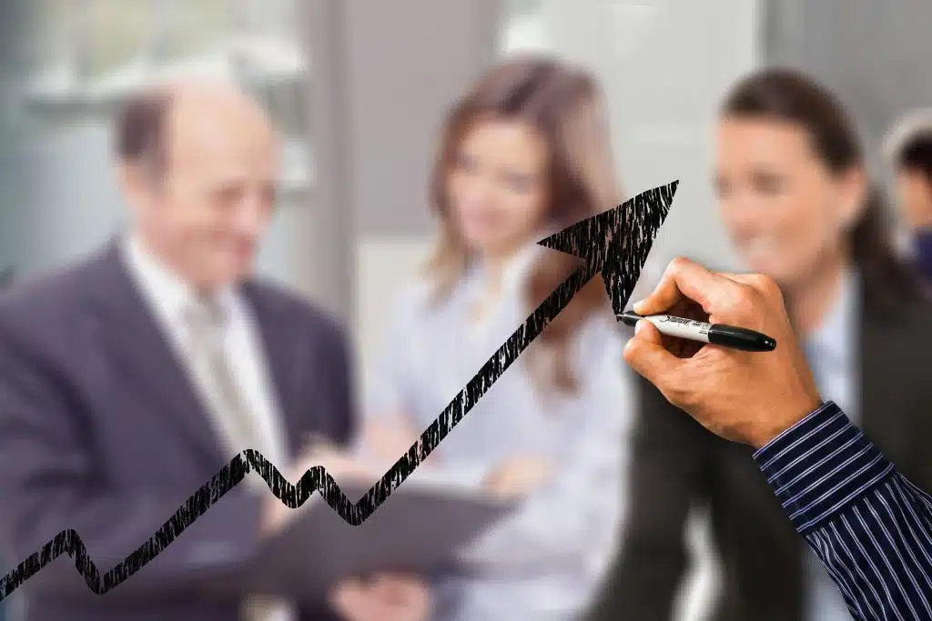 croissance audit experts