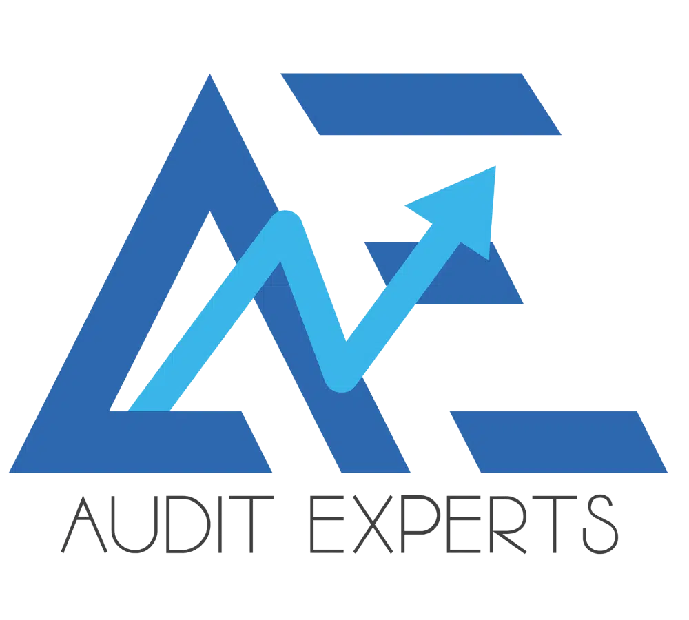 audit experts logo
