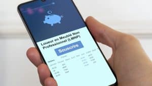 Loueur en meublé non professionnel