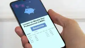 Loueur en meublé non professionnel
