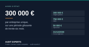 Visuel présentant le plafond de 300 000 euros des aides de minimis par entreprise unique sur une période glissante de trente-six mois, avec les plafonds sectoriels